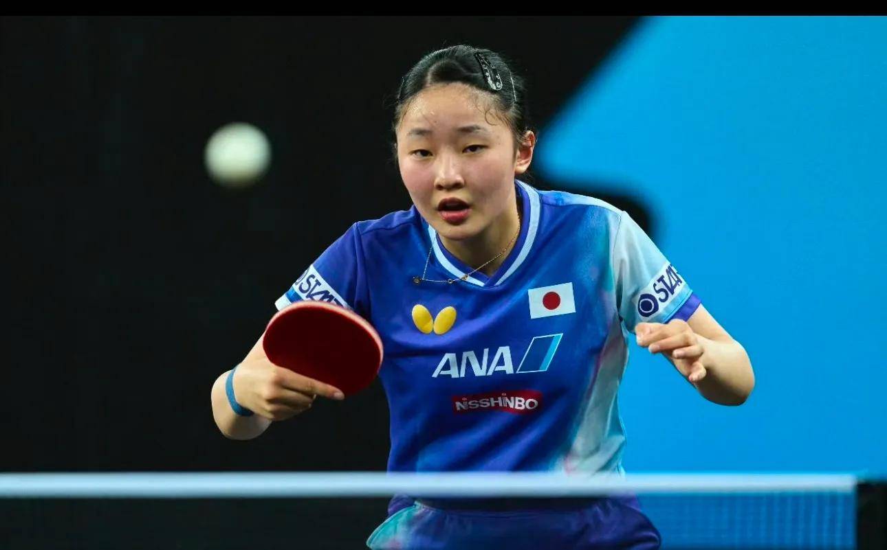 数据显示 数据显示