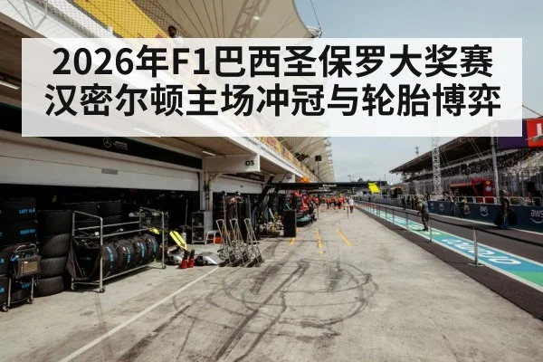 Formula 1 tire pit stop strategy